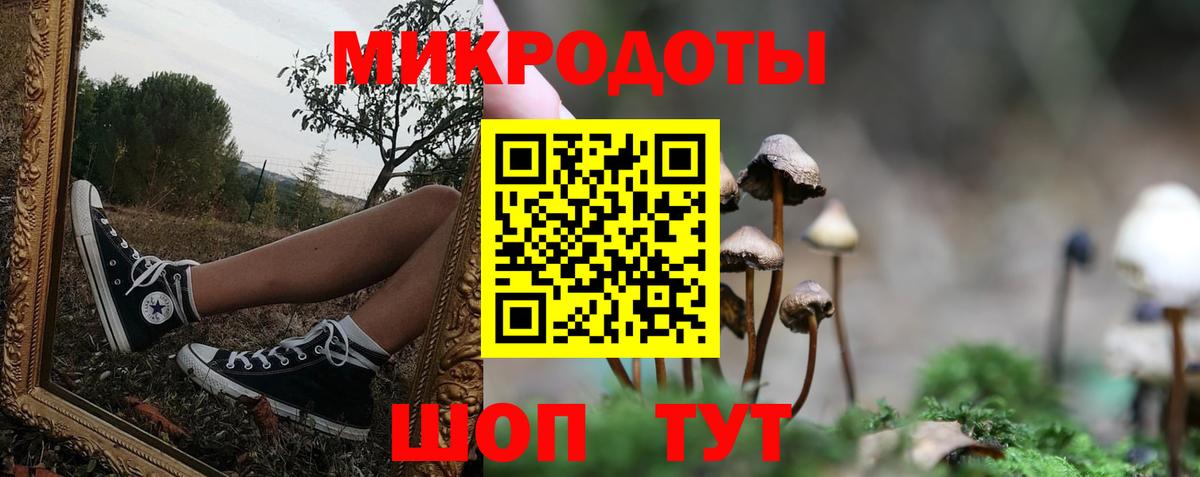 закладки  Псилоцибиновые грибы Cubensis  Вход с VPN  Лениногорск 
