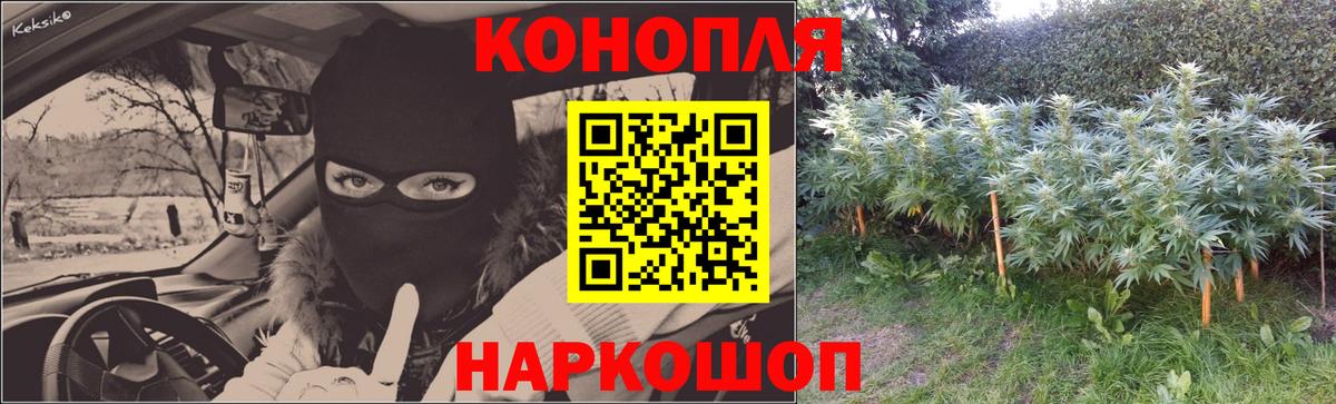 Каннабис тримм  Вход с VPN  Бошки Шишки Bruce Banner  Канабис White Widow  Лениногорск 
